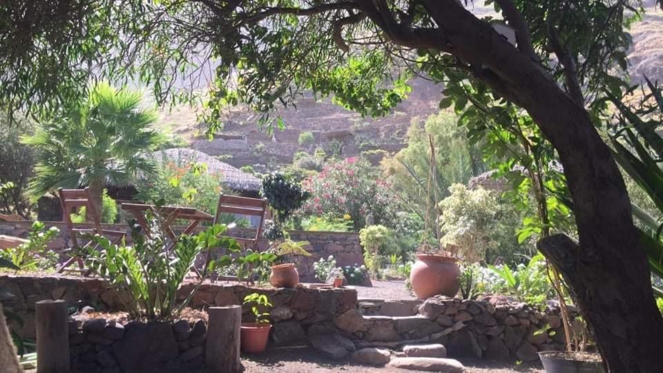 Ecolodge Kasa D'Igreja Chã da Igreja Εξωτερικό φωτογραφία