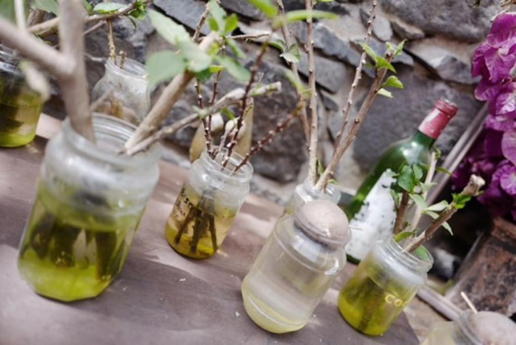 Ecolodge Kasa D'Igreja Chã da Igreja Εξωτερικό φωτογραφία