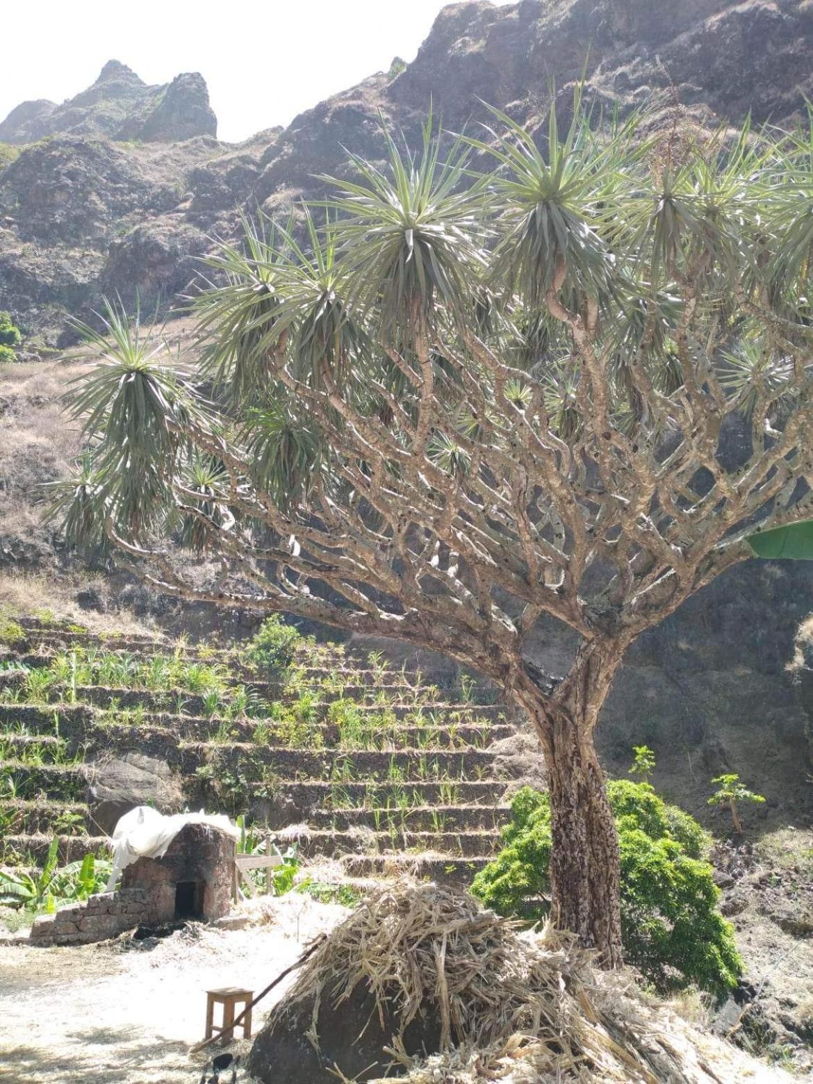 Ecolodge Kasa D'Igreja Chã da Igreja Εξωτερικό φωτογραφία